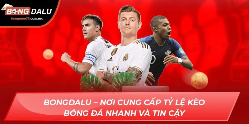 Bongdalu – nơi cung cấp tỷ lệ kèo bóng đá nhanh và tin cậy