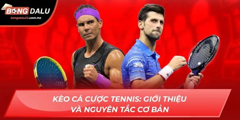 Kèo cá cược tennis: Giới thiệu và nguyên tắc cơ bản