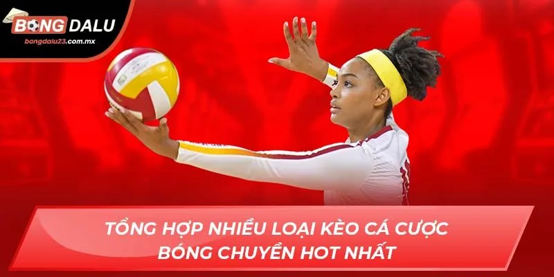 Tổng hợp nhiều loại kèo cá cược bóng chuyền hot nhất